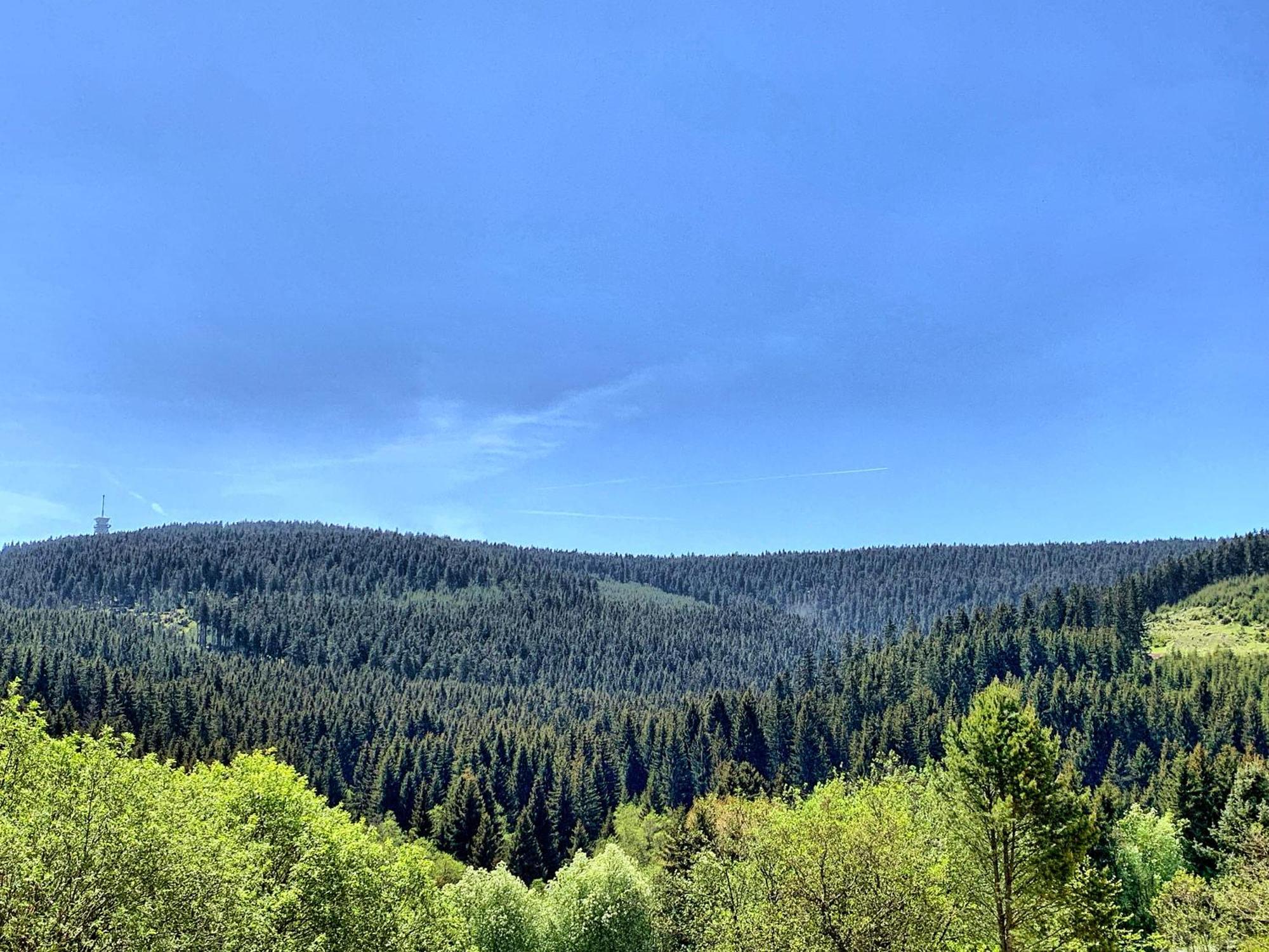 אוברוויזנטל Erzgebirge Suite Bergruhe מראה חיצוני תמונה